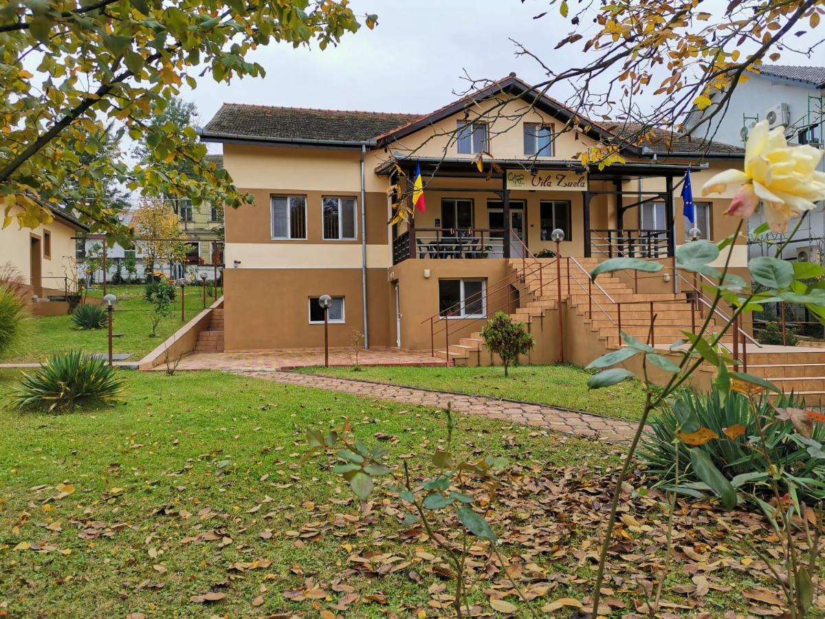 Vila Zuela Buziásfürdő Kültér fotó